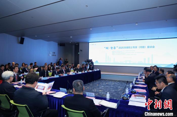 座谈会现场。深圳海联会供图