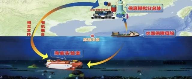 冷泉生态系统研究装置三个分总体布局。资料图片