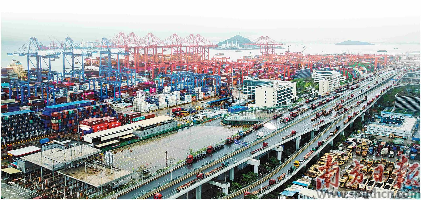 深圳前海妈湾智慧港码头。南方日报记者 张冠军 摄