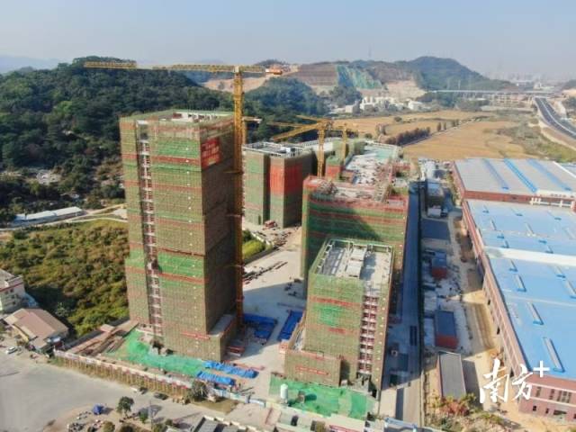 位于中山市南朗街道华照村的西湾清洁能源产业园。梁诗婷 摄