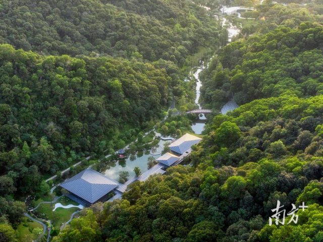云溪植物园