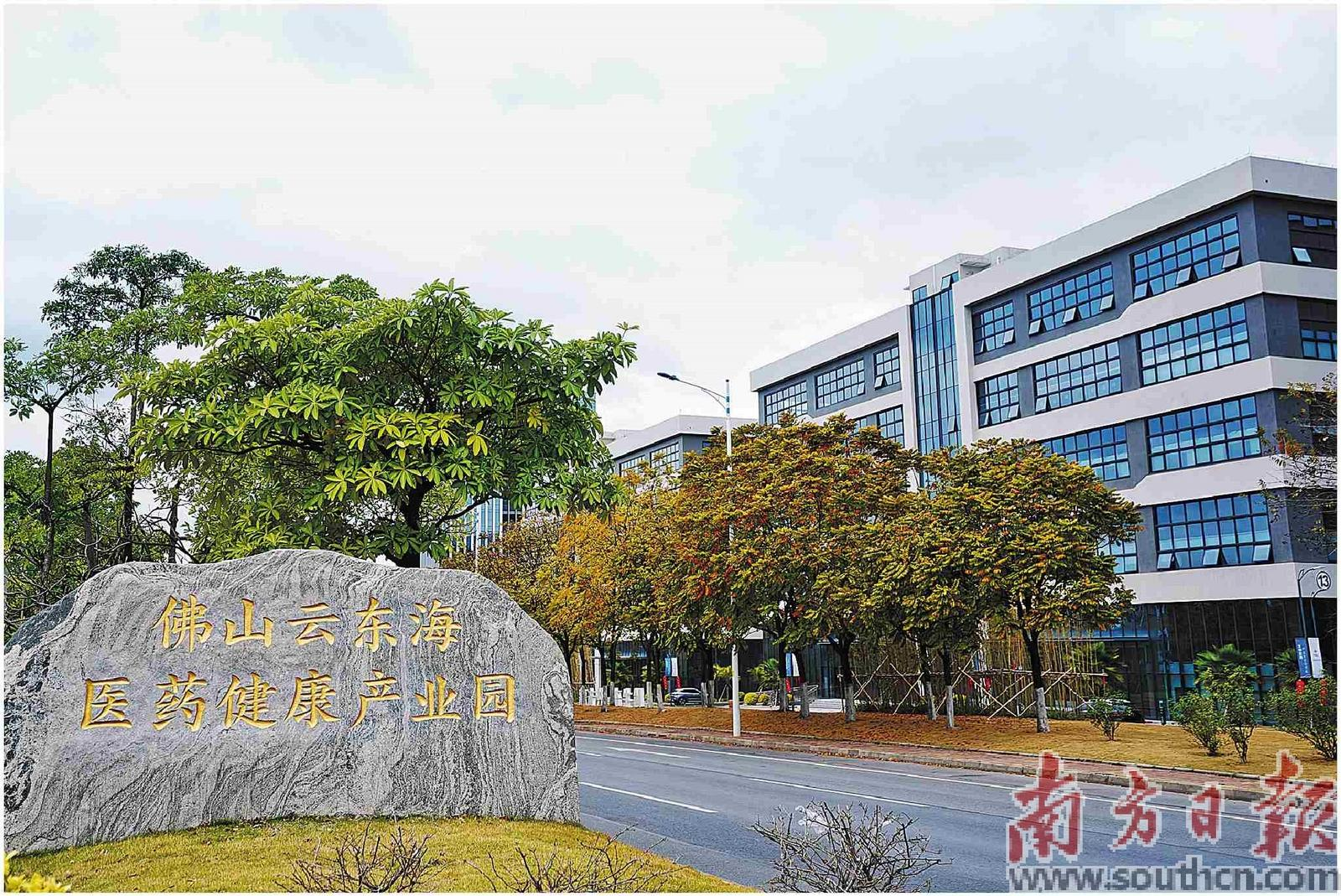 云东海医药健康产业园入围全省十大生物医药健康产业园。戴嘉信 摄