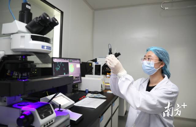 横琴粤澳深度合作区一企业实验室。关铭荣 摄