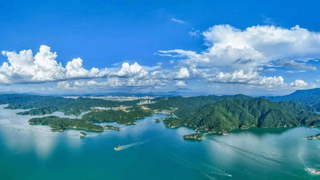 广东建立营商环境对口帮扶机制  打造区域均衡一体化发展的营商环境——广东省优化营商环境典型案例（十三）