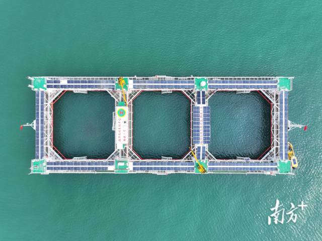 空中俯瞰“格盛一号”海洋牧场。