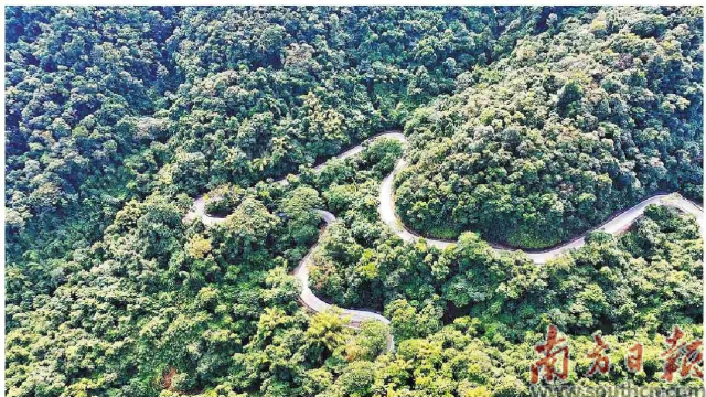 九曲十八弯的最美旅游公路南昆山路段。受访单位供图