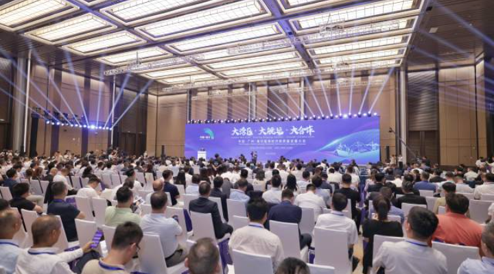 南方观察｜图南六翼，向海图强！200亿投资加码支持南沙开发建设背后