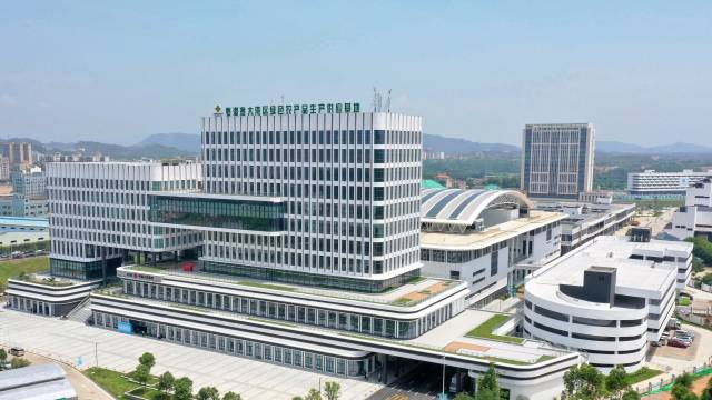 大湾区（广东·惠州）绿色农产品基地。