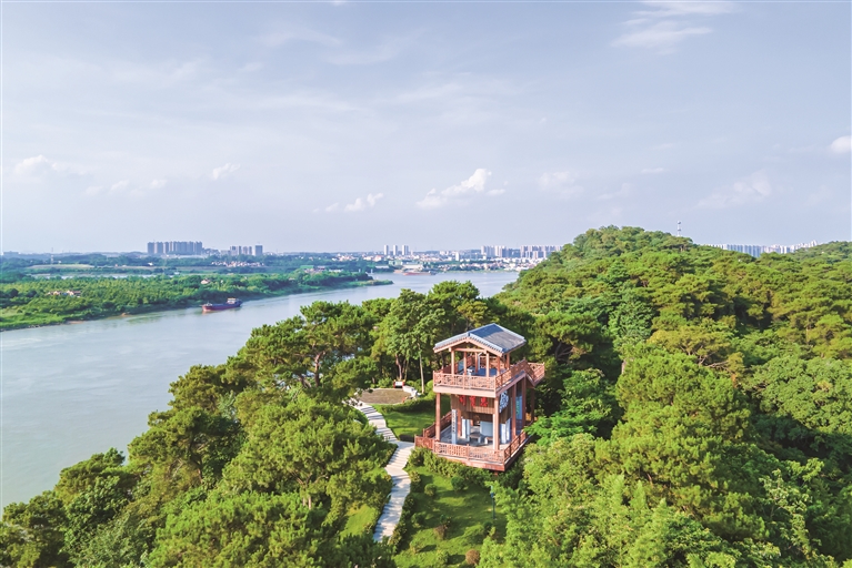 在三水江根村可饱览“三江汇流”奇景。