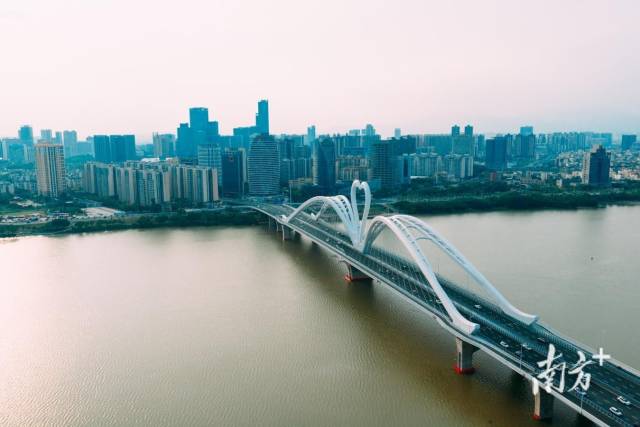 惠州鹅城大桥。