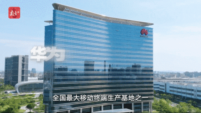    “创新全运会”鸣哨，11城接力新质火炬