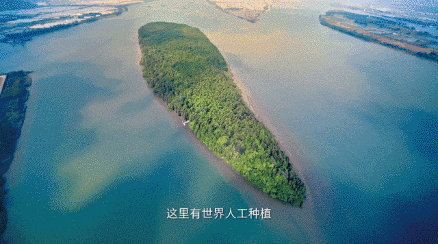 这是我的城！珠海最新城市形象片发布！