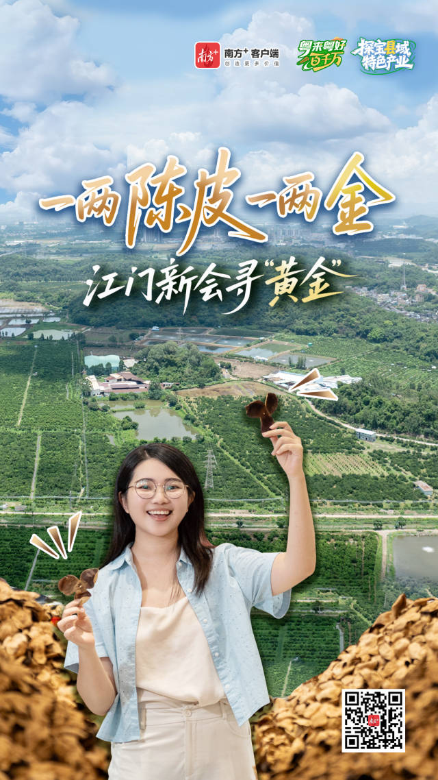产值近280亿元，江门新会陈皮为何贵如“黄金”？